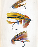 image for Bruce P. Dancik Collection of Angling Books