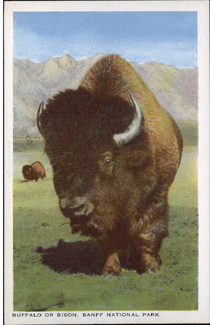 image for Prairie Postcards